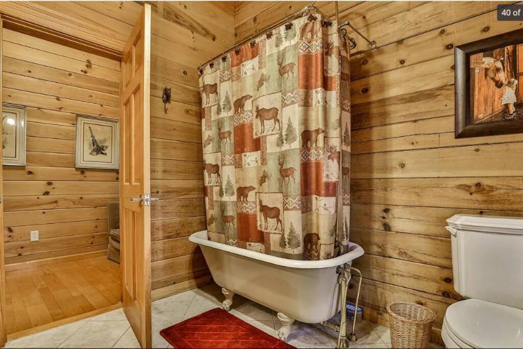 Blue Ridge Bliss- Spacious Cabin, Pets, Hot Tub! Buitenkant foto