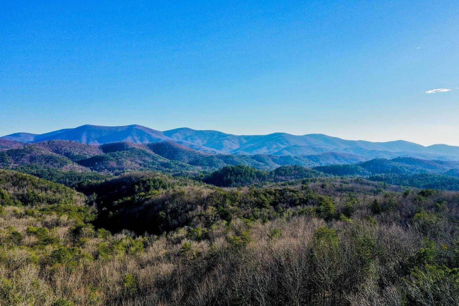 Blue Ridge Bliss- Spacious Cabin, Pets, Hot Tub! Buitenkant foto